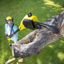 Best Hazardous Tree Removal  in Iuka, MS